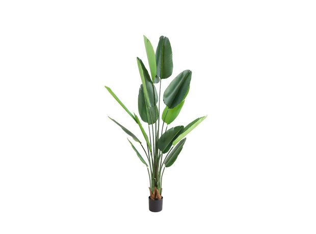 Τεχνητό δέντρο Bird of paradise ύψος 180cm