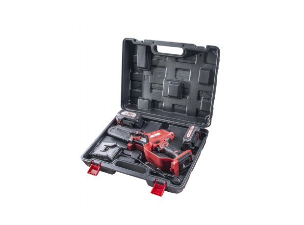 R20 set ΑΛΥΣΟΠΡΙΟΝΟ ΜΠΑΤΑΡΙΑΣ ΚΛΑΔΕΥΤΙΚΟ Brushless με 2 ΜΠΑΤΑΡΙΕΣ 2ΑΗ ΚΑΙ 4ΑΗ RDP-SBGP20 075719