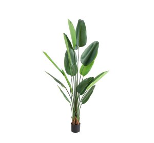 Τεχνητό δέντρο Bird of paradise ύψος 180cm