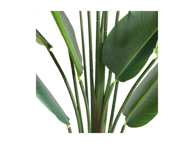 Τεχνητό δέντρο Bird of paradise ύψος 180cm